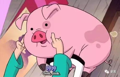 猪哥哥天天爆料视频下载,揭秘热门视频背后的精彩故事