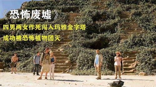 恐怖废墟在线观看,恐怖废墟在线惊悚之旅