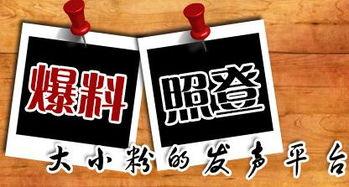 芗城新闻爆料台,聚焦民生热点，传递社会声音